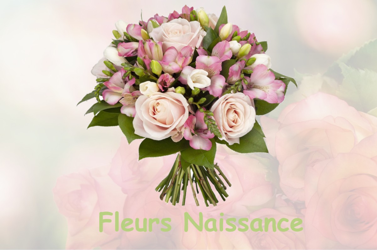 fleurs naissance LA-CHAPELLE-ROUSSELIN